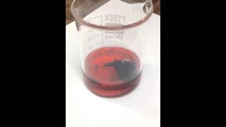 Cobalt hydroxide precipitate [upl. by Aserej]