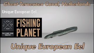 Unique European Eel  GhentTerneuzen Canal Netherlands  Fishing Planet Guide [upl. by Aihtnamas]