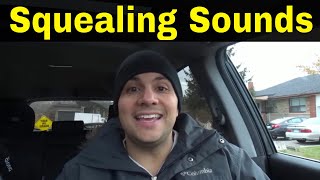 Why Do Cars Make Squealing Sounds5 Common Reasons [upl. by Nosilla]