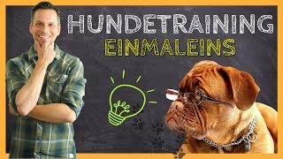 HUNDETRAINING Einmaleins  Grundlagen für eine ERFOLGREICHE Hundeerziehung [upl. by Aramal]