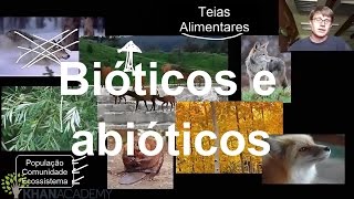 Bióticos e abióticos  Ecologia  Biologia  Khan Academy [upl. by Hanikas]