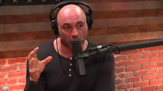 Joe Rogan  Becoming a Parent Changes You [upl. by Aurel]