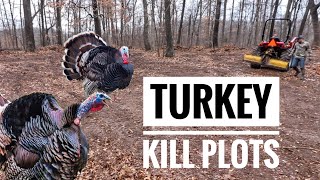 Food Plots for Turkey Hunting  S9 6 [upl. by Drolyag]