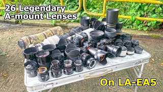 Sony LAEA5 with 26 Legendary Amount lenses on a7RIV [upl. by Suoiluj874]