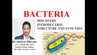 Bacteria Introduction Structure and Function Discovery [upl. by Taub374]