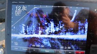 Garmin Panoptix Livescope For Perch [upl. by Nosdrahcir623]