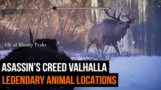 All 9 Assassins Creed Valhalla Legendary Animal locations [upl. by Kesia]