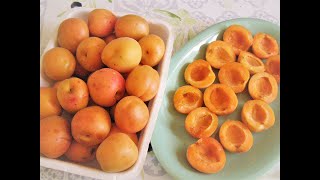 COMMENT CONSERVER DES ABRICOTS EN MORCEAUX POUR TARTES [upl. by Menard525]