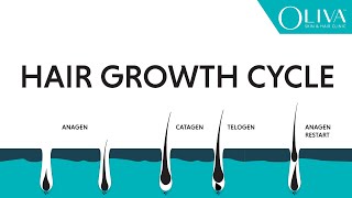 Natural Hair Growth Cycle Explainer Video On Anagen Catagen amp Telogen Phases [upl. by Ydnak]