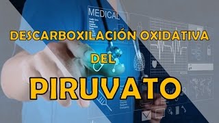 DESCARBOXILACIÓN OXIDATIVA DEL PIRUVATO [upl. by Enirolf]