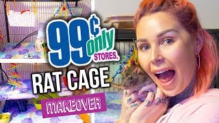 99 Cent Store RAT CAGE DIY MAKEOVER  KristenLeannimal [upl. by Kahcztiy]