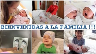 VLOG DIARIO  Los hermanos conocen a las mellizas primer día en casa [upl. by Sheffield234]