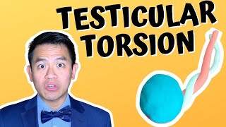 Difference Between Epididymis and Testicular Cancer [upl. by Ayote685]