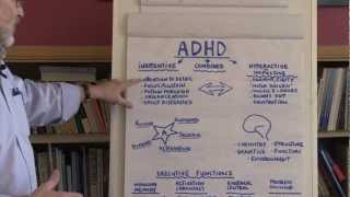 What Is ADHD [upl. by Toogood]