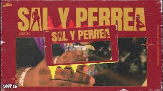 Sech  Sal Y Perrea Extended  Santy Ov [upl. by Sik]