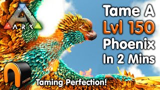 Ark THE BEST WAY EVER TO TAME A PHOENIX How To Tame A Phoenix SOLO Ark [upl. by Ahsekad]