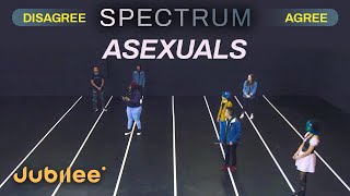 Do All Asexuals Think the Same  Spectrum [upl. by Tereve]