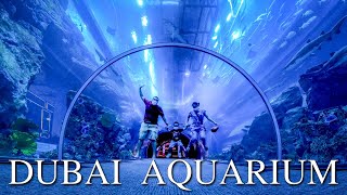 Exploring DUBAI AQUARIUM amp UNDERWATER ZOO [upl. by Riella]