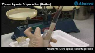 Tissue Lysate Preparation Native [upl. by Elwin198]