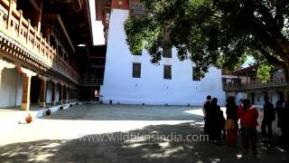 Inner courtyard of Punakha Dzong in Bhutan [upl. by Rickert217]