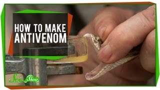 How To Make Antivenom [upl. by Meela107]