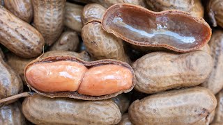 How to Make Southern Boiled Peanuts in the Crockpot [upl. by Akiram]