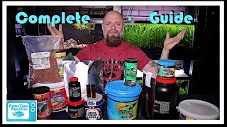 Betta Fish Food  From Fry to Adult What I Use [upl. by Constance]