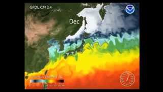 Kuroshio Current [upl. by Casady]