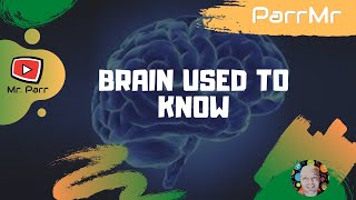 Brain Used To Know Song [upl. by Piper]