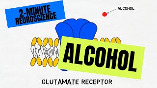 2Minute Neuroscience Alcohol [upl. by Karas]