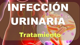 Infección Urinaria Tratamiento Explicación [upl. by Catto959]