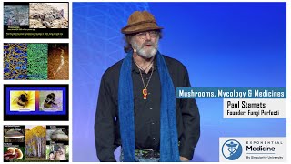 Paul Stamets Mycology and Mushrooms as Medicines [upl. by Templia]