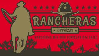 CUMBIA RANCHERA BAILABLE MIX VOL 1 [upl. by Sivrahc]