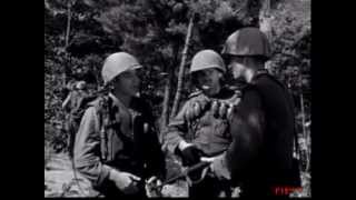 Cease Fire  1953 Korean War Film [upl. by Harbird800]