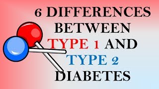 6 Differences Between Type 1 and Type 2 Diabetes [upl. by Jack]