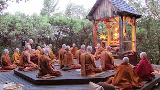 Pali Chanting In The Abhayagiri Buddhist Monastery  Theravada Buddhism [upl. by Meit345]