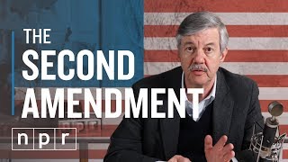 So You Want To Repeal The 2nd Amendment  Ron’s Office Hours  NPR [upl. by Idnas]