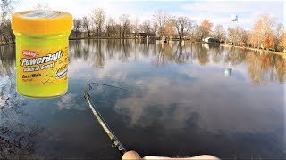 BEST Powerbait RigSetup  TROUT Fishing PondsLakes [upl. by Paza401]