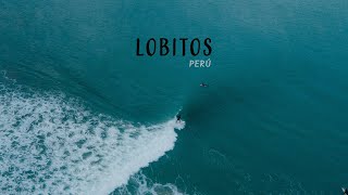 Lobitos Perú [upl. by Kermy713]