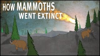 How Mammoths Went Extinct [upl. by Luther]