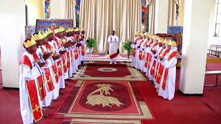 Ethiopian Orthodox Tigrigna Mezmur ምብራቅ ኢኺ [upl. by Leibman]