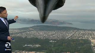 Bird photobombs weather report  KTVU [upl. by Hazen347]