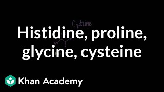 Special cases Histidine proline glycine cysteine  MCAT  Khan Academy [upl. by Ellehcram]