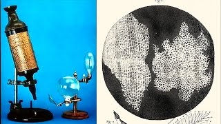 How Robert Hooke Discovered The Cell [upl. by Eirameinna]