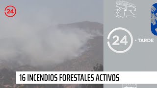 Son 16 incendios forestales activos en Chile  24 Horas TVN Chile [upl. by Treblihp]