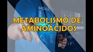 METABOLISMO DE AMINOÁCIDOS [upl. by Neenwahs]