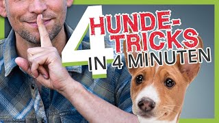 4 HUNDETRICKS in 4 MINUTEN [upl. by Anitneuq]