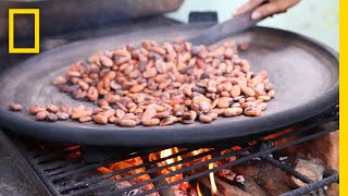 Watch the Ancient Art of ChocolateMaking  National Geographic [upl. by Semela800]