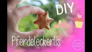 DIY  Pferdeleckerlis  Selber machen  Brotleckerlis [upl. by Atronna]