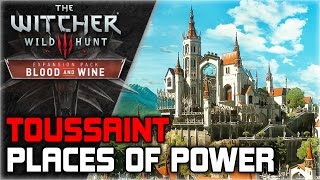 WITCHER 3 Blood and Wine ► All Toussaint Places of Power Locations Guide [upl. by Kenti]